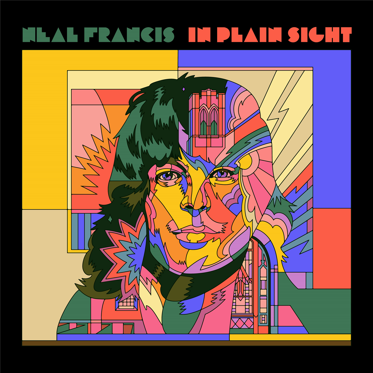 in-plain-sight-228780-diverse-vinyl